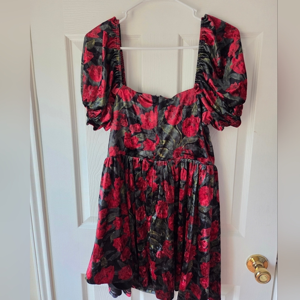 Petal and Pup Velvet Mini Dress M NWT Anders Black Red $99 Valentin'es Cocktail - Picture 5 of 9
